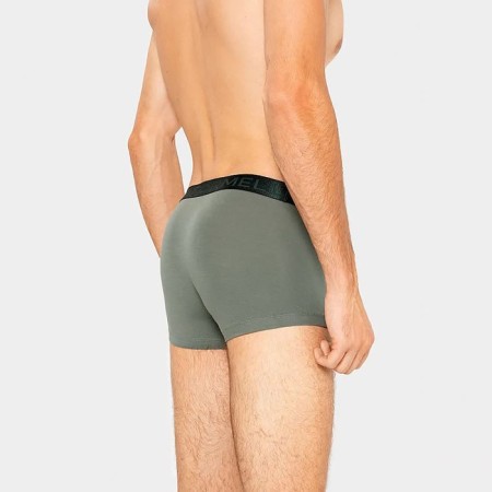 Set of men's panties boxers (2 pcs), gray color, size 50 (l)-2