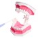 Game set "Human Jaw Model", 12 × 9 cm, with a brush, a mix of a mix