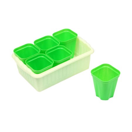 Set for seedlings: glasses of 250 ml (6 pcs.), Container 24 × 16 cm, mix-12