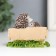 Polystone souvenir "Hedgehogs on a bench read the book" 5.7x3.9x7.5 cm