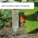 Auto -polyove for indoor plants, under a bottle, adjustable, with a tap, of plastic, height 17.5 cm, mix, Greengo