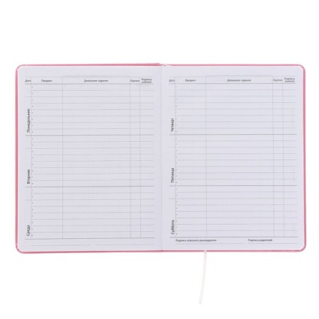 Universal diary for grade 1-11 "Do not revolve!", Firm cover, artificial leather, silkography, lies, 80 g/m2-4