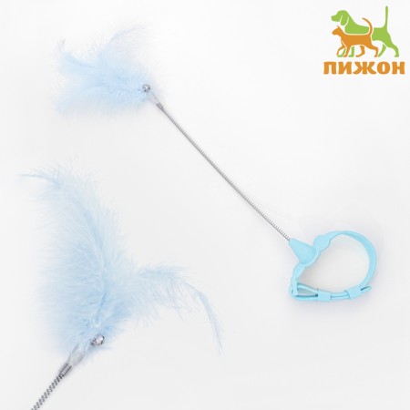 Collar-tint for cats, 17 cm, blue