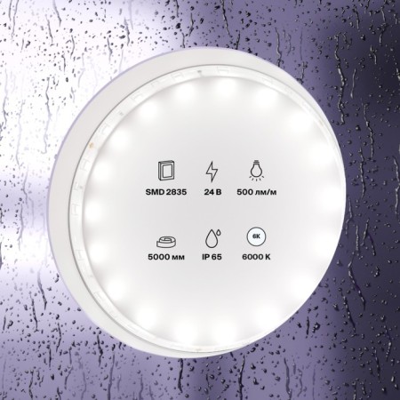 Maytoni LED tape, 24V, IP65, 2835, 4.8W/m, 6000k, 5 m, monochrome glow-2