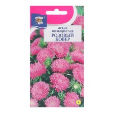 Flower seeds Astra Low 