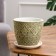 Flower Pot "Fan" yellow bud No. 2 1.31 l