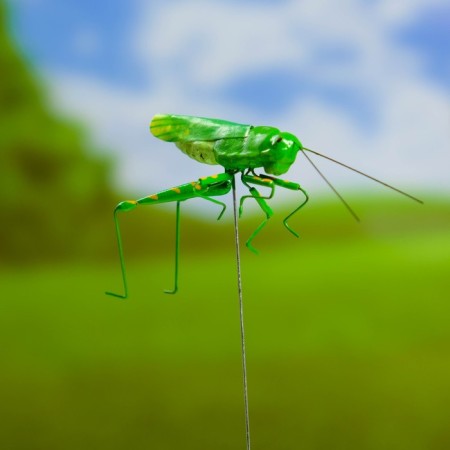 Squater "Green grasshopper" 3x5cm/22cm