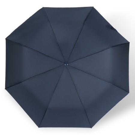 The semi -automatic “roses” umbrella, with a manifested pattern, Eponge, 3 additions, 8 spokes, r = 48 cm, color mix-19