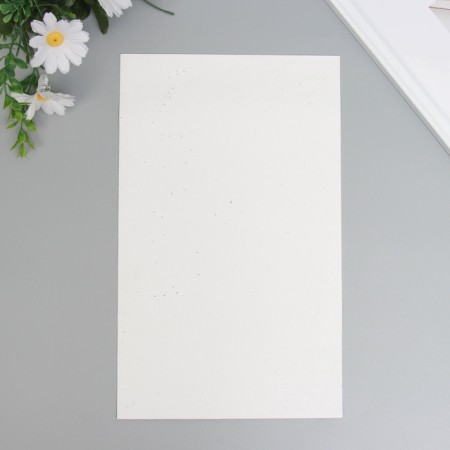 Liszt for creativity claims. Kozh "Large sparkles" silver sheet 33x20 cm thick 0.84 mm-3
