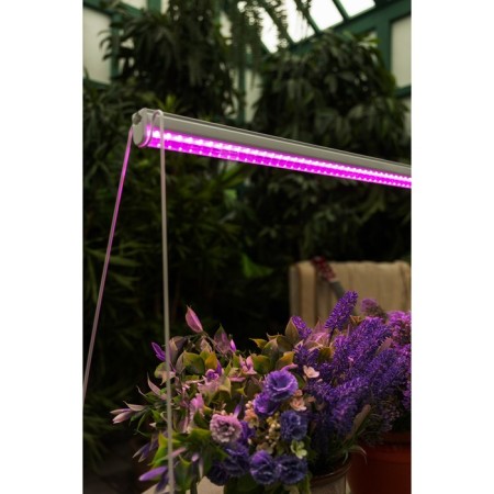 LED LED LED, 11 W, 572 mm, IP20, 220 V, multi -pointral, with off.-11