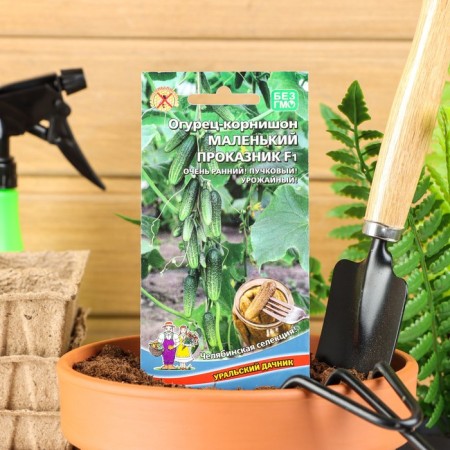 Cucumber seeds "Little Penantine", F1, 8 pcs