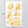 Stickers (stickers) "Panda" 10x15 cm, color gold, 5-309