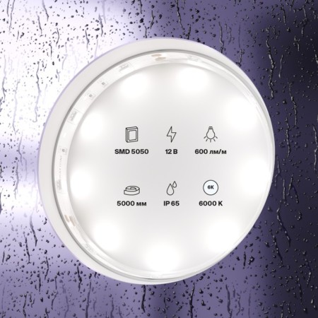 Maytoni LED strip, 12V, IP65, 5050, 7.2W/m, 6000k, 5 m, monochrome glow-2