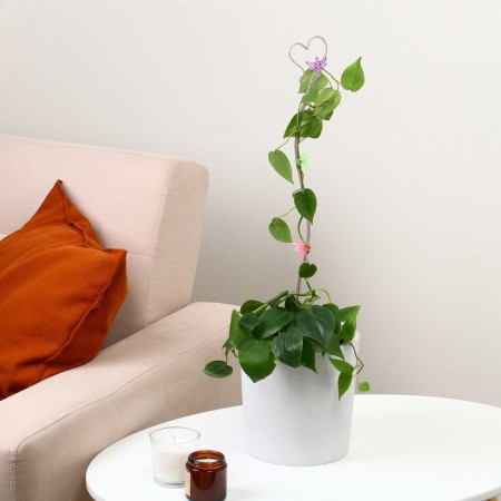 Support for orchids, h = 55 cm, plastic, color mix, "heart"-1