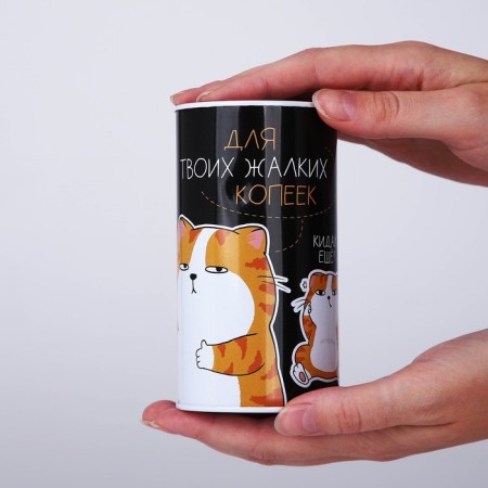 Копилка «Для твоих копеек», 12 х 6,5 см-6
