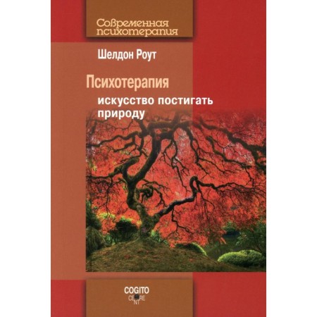 Psychotherapy. 2nd edition. Rout Sheldon