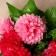 Bouquet "Georgin Elizabeth" 5x26 cm, mix