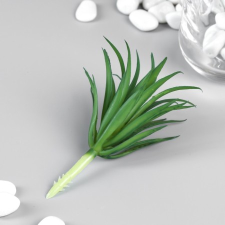 Artificial succulent for creating the Florarium "Troundhole Gasteria" 7 cm-1