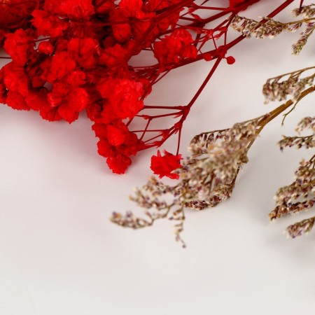 Set of dried flowers "South sunset"-2