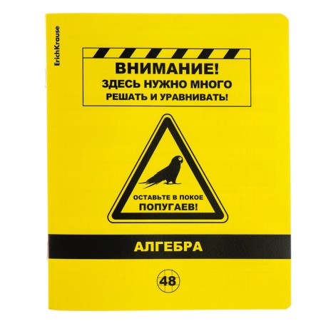 A set of subject notebooks 48 sheets, 12 pieces, Erichkrause "BENFORMED", plastic cover silk-screen cover, OFSET BELICE 100%, info block-10