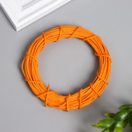 Ring Roadan for manufacturing the catfish "Orange" d = 10 cm