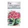 Flowers Cloves Intermediate Chib F1 Crimson Pikoti, 5 pcs