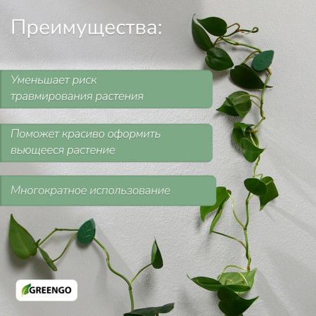 Mounts for climbing plants, 3*2.1 cm sheet (set10 pcs) self -adhesive-1