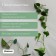 Mounts for climbing plants, 3*2.1 cm sheet (set10 pcs) self -adhesive