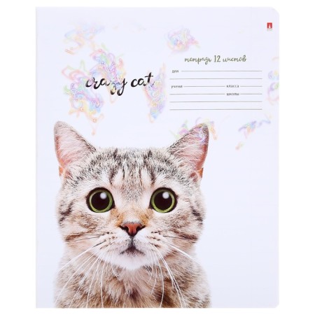 Notebook of 12 sheets in the "Amazing kittens" line, cover coated paper, VD-LK, MIX-2