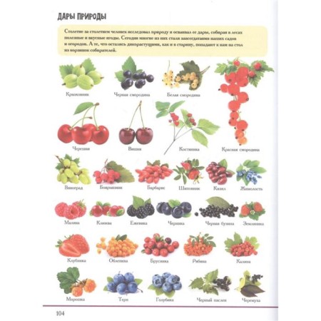 Children's Encyclopedia about everything in the world in 2000 illustrations that can be considered for a whole year. Tarakanova M.V.-4