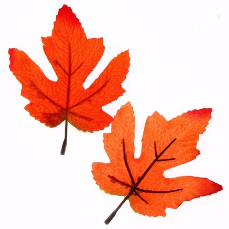 Decor "Autumn sheet" set of 15 pcs., Size 1 pc. - 9 × 11 × 0.2 cm, orange color-2