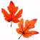Decor "Autumn sheet" set of 15 pcs., Size 1 pc. - 9 × 11 × 0.2 cm, orange color