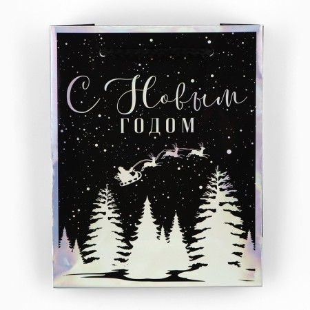 Package Holographic Vertical “Winter Forest”, S 12 x 15 x 5.5 cm, New Year-5