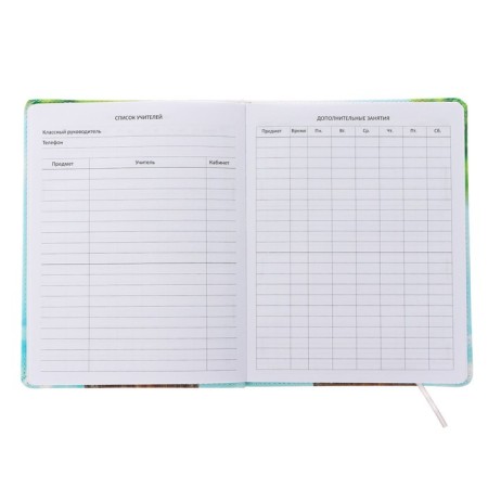 Universal diary for grade 1-11 "Sometimes there is only one way out", solid cover, artificial leather, liesse, 80 g/m2-3