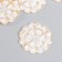 Decor for creativity Plastic "Lace Flower" White 3.2x3.3 cm