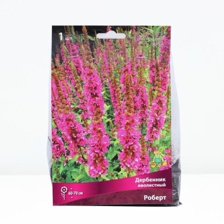 Derbennik Ivolid Robert, Rr. I, 1 pc, spring 2025
