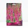 Derbennik Ivolid Robert, Rr. I, 1 pc, spring 2025