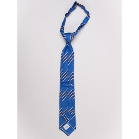 Tie for boys ise, blue color-2