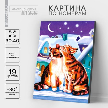 Picture on numbers on a canvas with a subframe "Cats", 30 x 40 cm