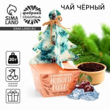 New Year! Black tea, winter cherry 