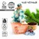 New Year! Black tea, winter cherry "Snow New Year", 20 g