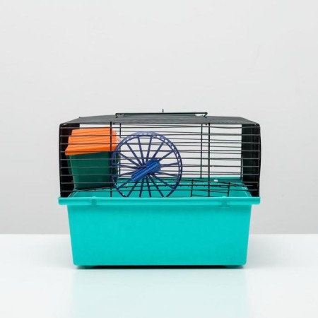 The cage for rodents "Pigzon" No. 4, with a floor, equipped, 37x26x18 cm, turquoise-2