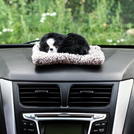 Toy on a car panel, dog on a pillow, black color-2