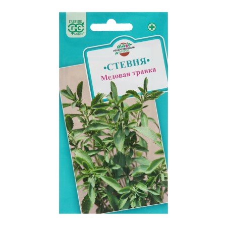 Stevia seeds "honey grass", 7 pcs.