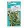 Stevia seeds "honey grass", 7 pcs.