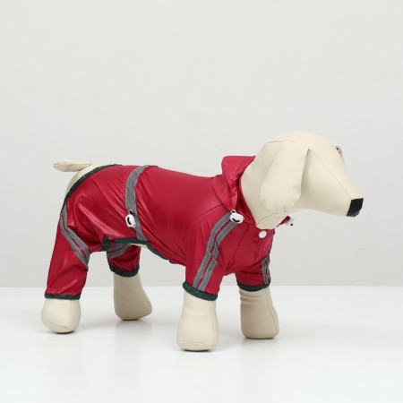 Combiason for dogs, demi-season, size 2hl (DS 34-36, OG 51-53, Osh 39-41 cm), red