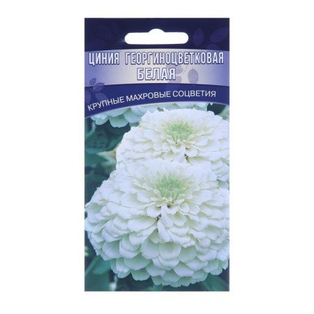 Seeds of Tsinnia dahilia "White", 0.15 g