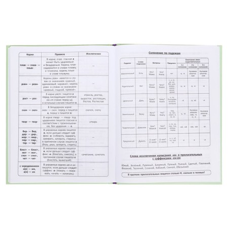 Diary Solid Cover 1-11 grade 48 sheets, "Compass", Cardboard 7BC cover, matte lamination, selective UV-lak, cheat sheet-11