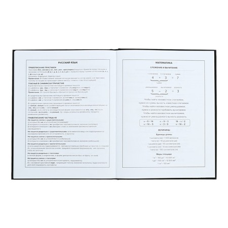 Universal Diary Grade 1-11, 48 raccoon sheets, solid cover, foil embossing, glossy lamination, universal cheat sheet, block 65 g/m2-10