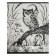 Notebook of 48 sheets in the Erichkrause cage monochrome history, cover coated cardboard, block offset, 5v, mix